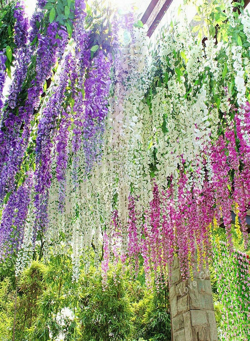 GGOOT 100Pcs/Bag Wisteria Tree Seeds Decorative Vibrant Mixed Color Fast Growing Plant Seeds for Balcony Easy to Plant,Gardening,Home Decor - Wisteria Seeds - Image 5
