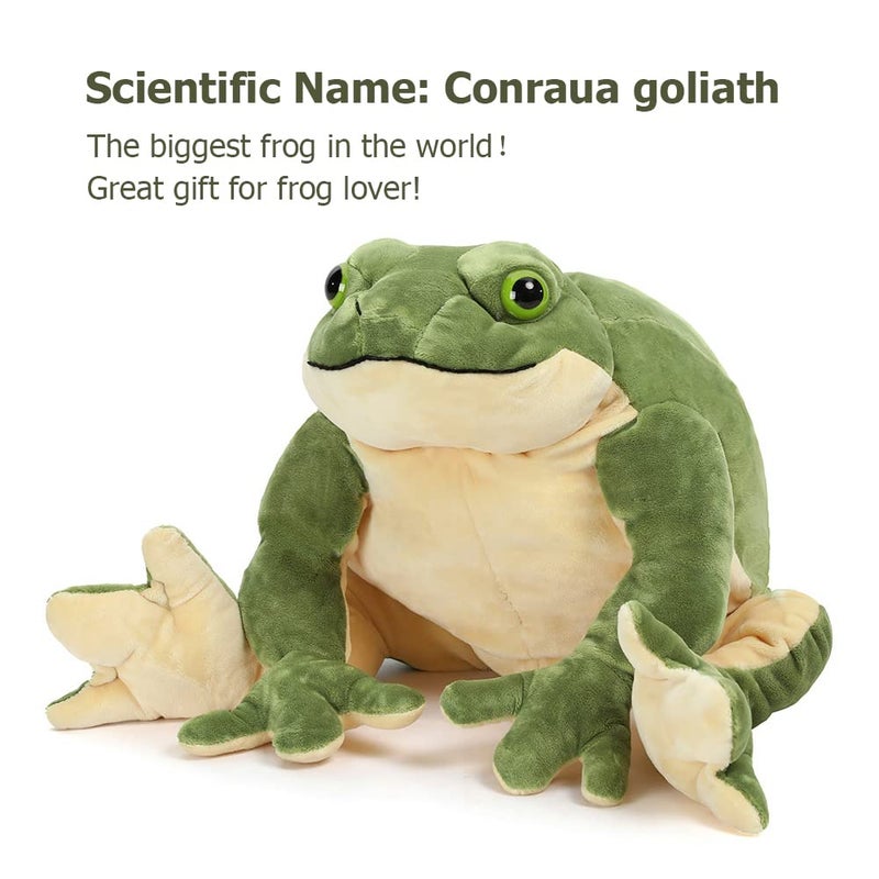 MorisMos Giant Frog Stuffed Animal, Large Green Stuffed Frog Plush for Kids, 22 Inch - Image 2