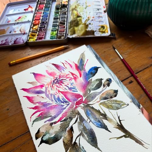 PHOENIX Artist Grade Watercolor Paint Set - Half Pan 48 Colors Quality Pigment Watercolor Palette with Portable Tin Box for Adults, Professional Artists - Image 3
