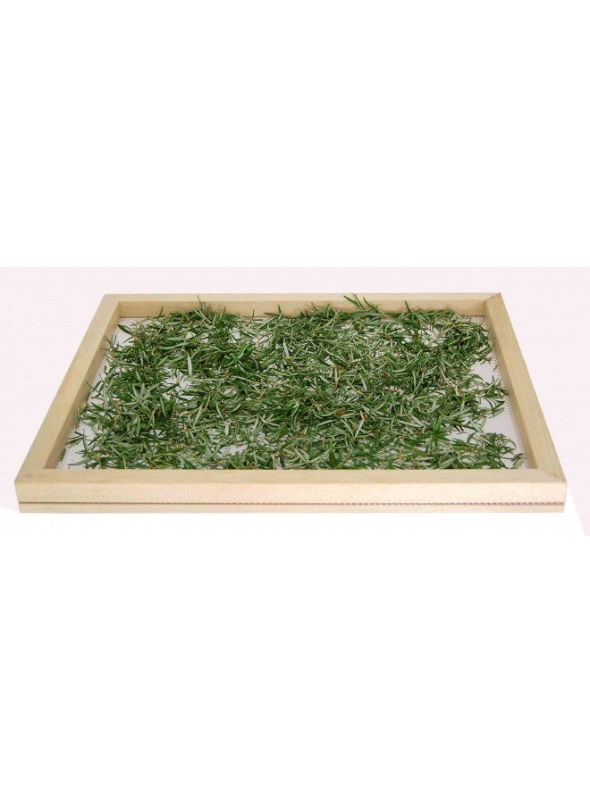 Eppicotispai Beechwood Stackable Food Dryer with Net - Image 5