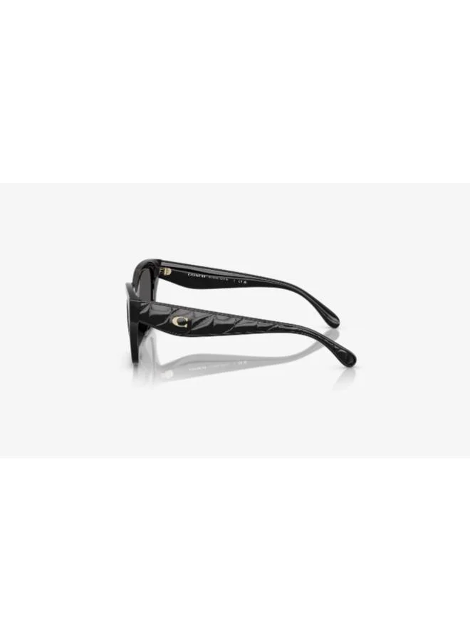 COACH  0Hc8418U Butterfly Sunglasses for Women | Best Price UAE