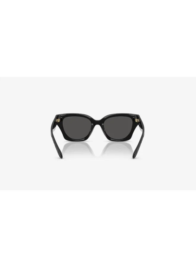 COACH  0Hc8418U Butterfly Sunglasses for Women | Best Price UAE