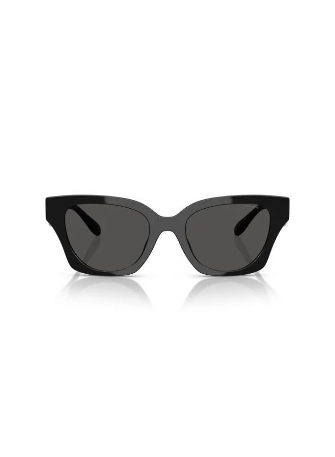 COACH  0Hc8418U Butterfly Sunglasses for Women | Best Price UAE