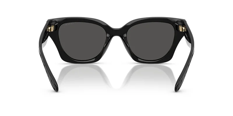 COACH 0Hc8418U Butterfly Sunglasses