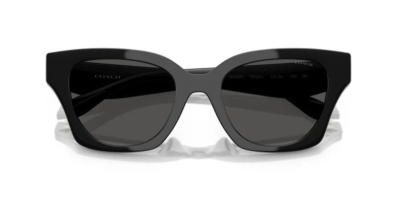 COACH 0Hc8418U Butterfly Sunglasses