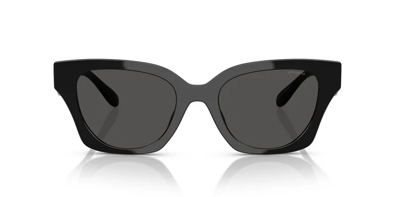 COACH 0Hc8418U Butterfly Sunglasses
