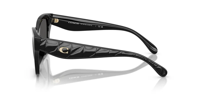 COACH 0Hc8418U Butterfly Sunglasses