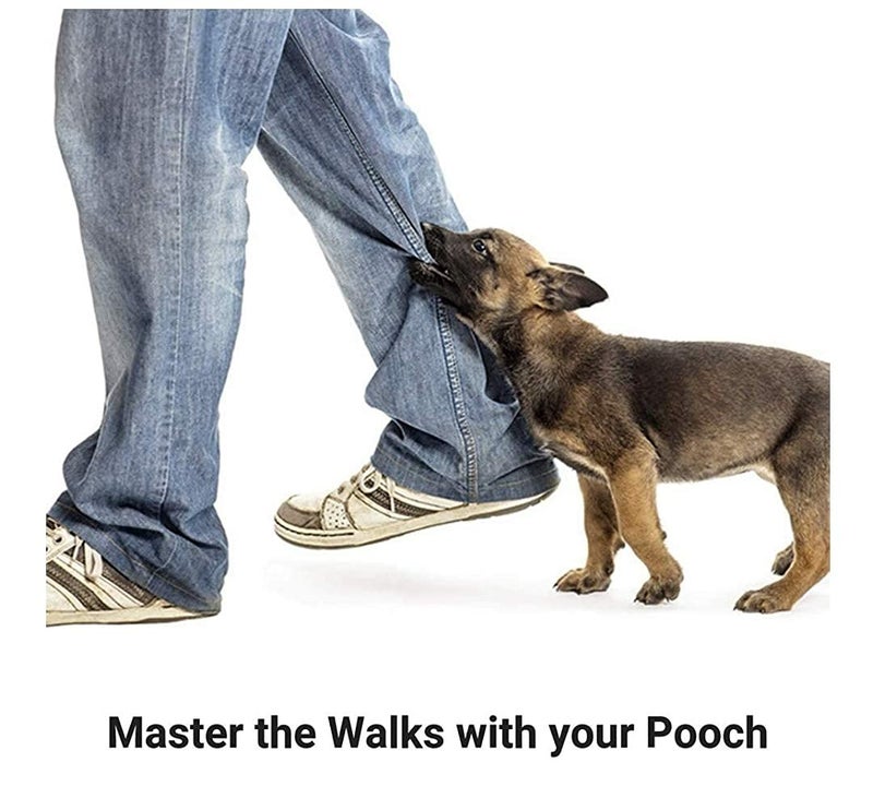 Ivaan Large Stylish Dog Rope Basic Leash - Black - Image 2