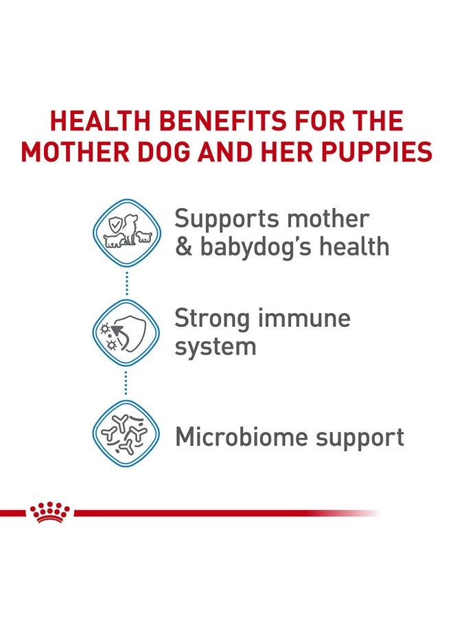 Royal Canin Size Health Nutrition Small Starter Mother & Babydog Dry Dog Food, 2.5 lb Bag - Image 3