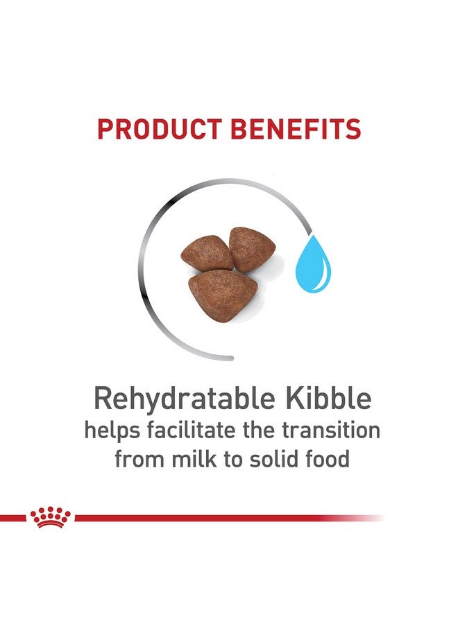 Royal Canin Size Health Nutrition Small Starter Mother & Babydog Dry Dog Food, 2.5 lb Bag - Image 2