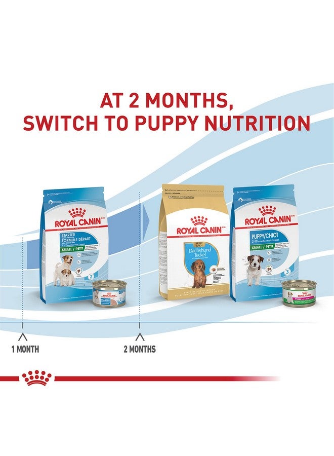 Royal Canin Size Health Nutrition Small Starter Mother & Babydog Dry Dog Food, 2.5 lb Bag - Image 5