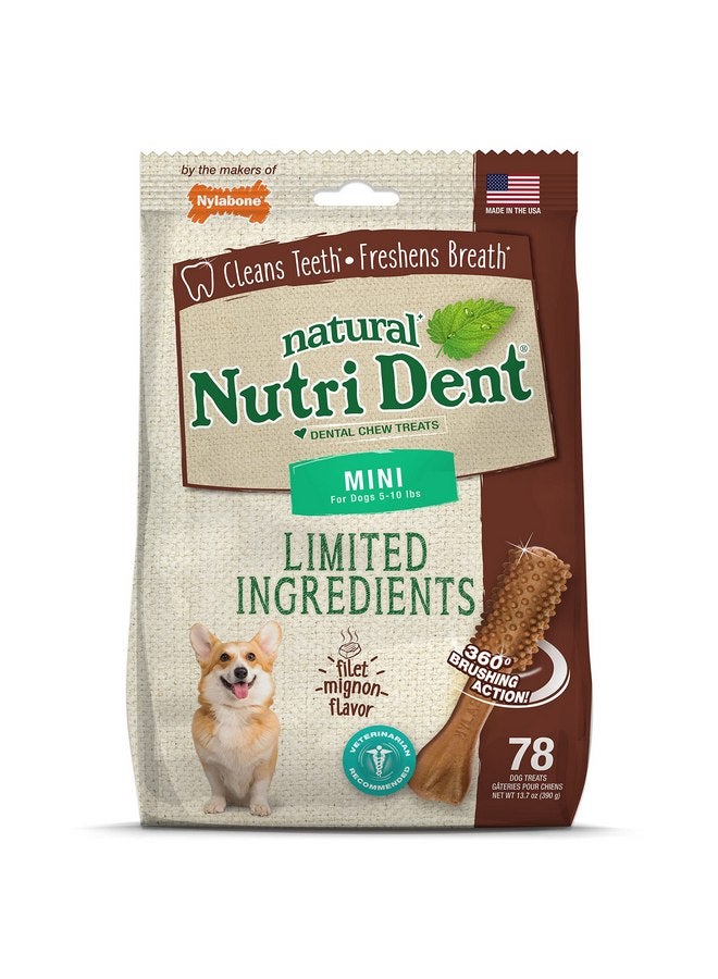 Nylabone Nutri Dent Dog Dental Treats - Natural Dog Teeth Cleaning & Breath Freshener - Dental Treats for Dogs - Filet Mignon Flavor, Mini (78 Count) - Image 1