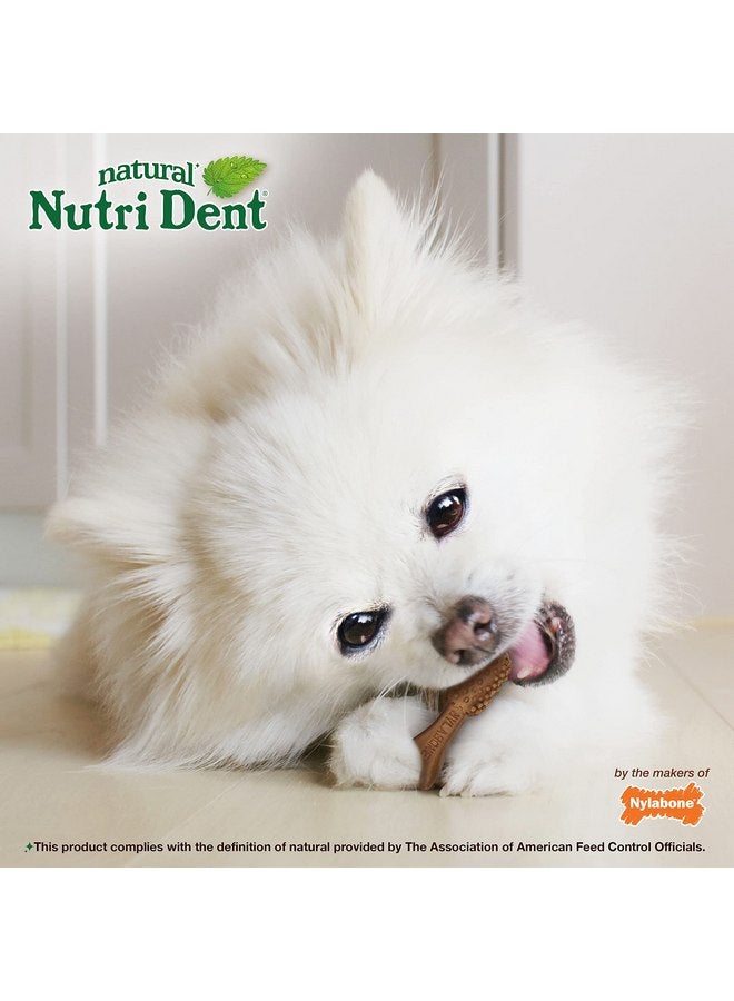 Nylabone Nutri Dent Dog Dental Treats - Natural Dog Teeth Cleaning & Breath Freshener - Dental Treats for Dogs - Filet Mignon Flavor, Mini (78 Count) - Image 5