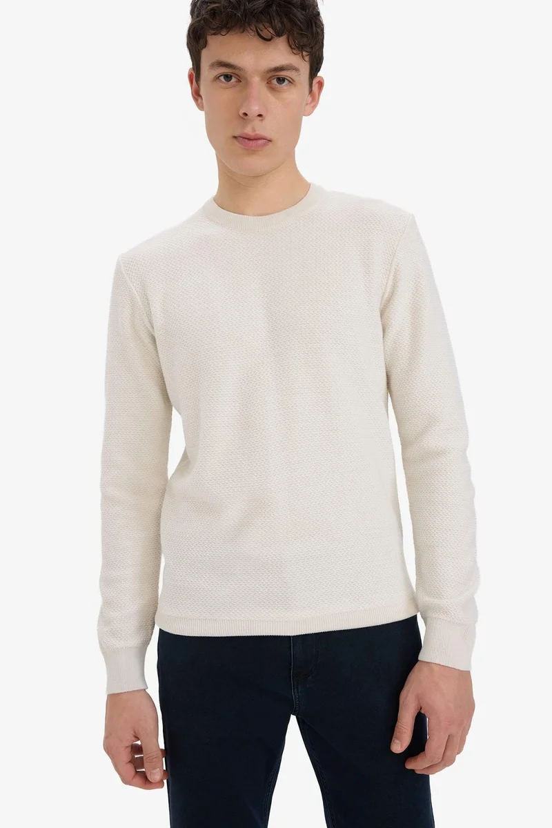 DeFacto Standard Fit Crew Neck Knitwear Pullover