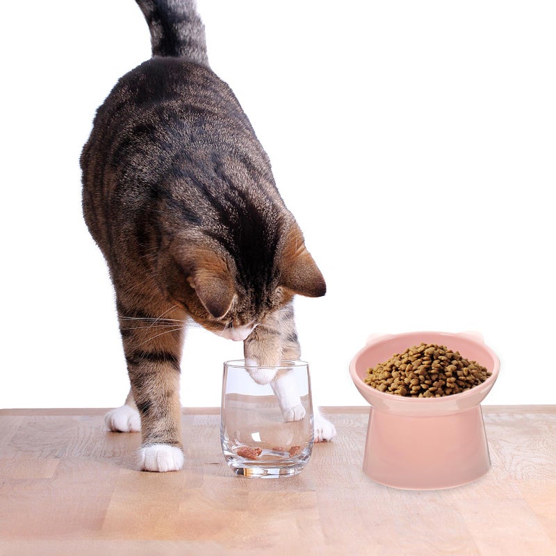 Pink Elevated Cat Food Bowl with Neck Guard Tilted Non Spill Slow Feeder for Small Pets - Image 5