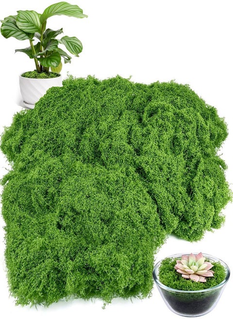 طحلب صناعي للحرف اليدوية، 100 جرام طحلب أخضر مزيف للنباتات في أصص النباتات، ديكور طحلب صناعي للديكور اليدوي والجدران والطاولات المركزية وديكور حوض السمك والمناظر الطبيعية والزهور والزفاف