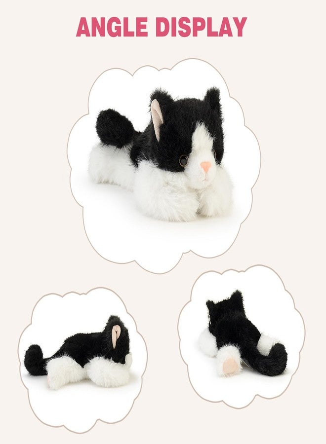 PEACH CAT قطة الخوخ، حيوان محشو، دمى قطيفة لطيفة، ألعاب قطيفة صغيرة، هدايا للأطفال، أسود وأبيض - Image 3