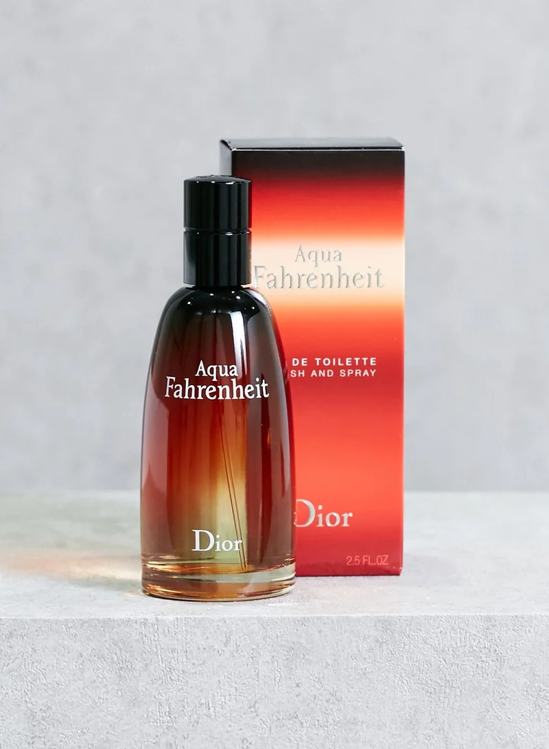 Fahrenheit Eau De Toilette Dior Fahrenheit 75ml Price Christian