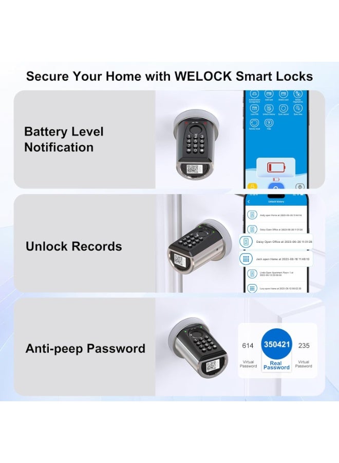 WELOCK ToucD41-UAE Biometric Fingerprint Smart Cylinder Door Lock with Password WI-FI App RFID Card Unlock For Home Office Airbnb - Image 5