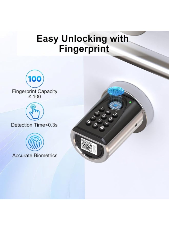 WELOCK ToucD41-UAE Biometric Fingerprint Smart Cylinder Door Lock with Password WI-FI App RFID Card Unlock For Home Office Airbnb - Image 4