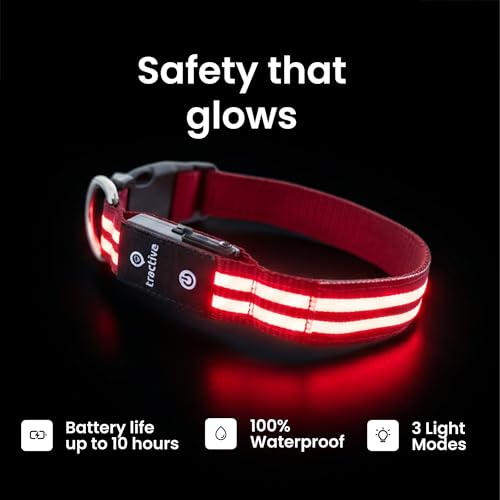 Tractive LED Light Up Dog Collar USB Rechargeable Waterproof (Red) - Image 3