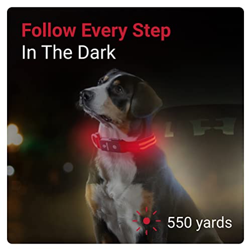 Tractive LED Light Up Dog Collar USB Rechargeable Waterproof (Red) - Image 2