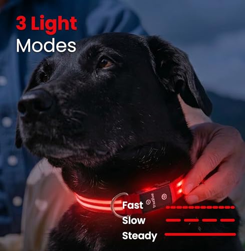 Tractive LED Light Up Dog Collar USB Rechargeable Waterproof (Red) - Image 4