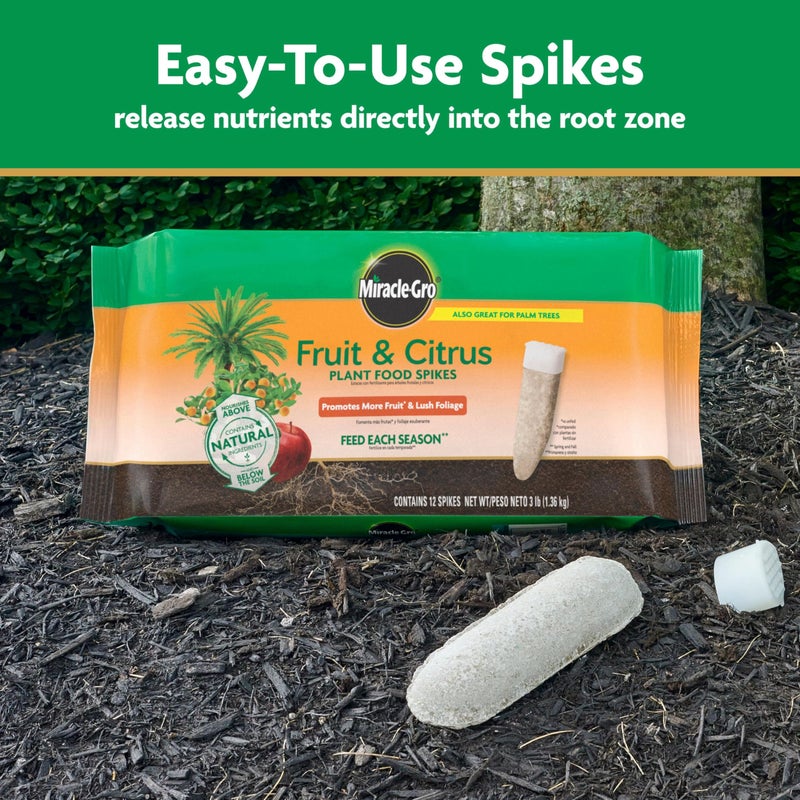 Miracle-Gro Fruit & Citrus Plant Food Spikes - Image 3