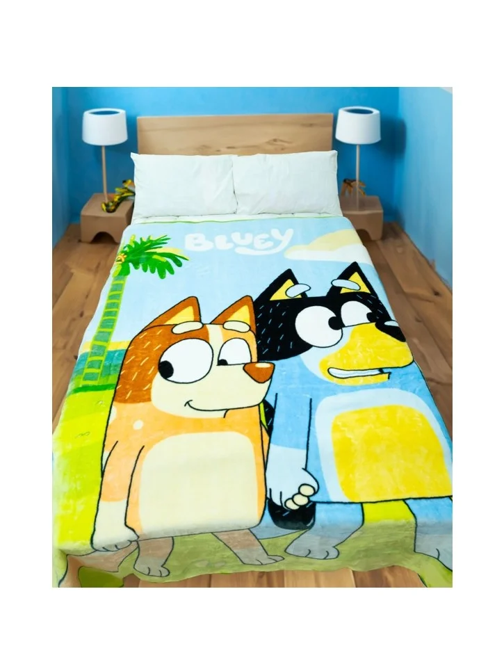 بلوي بطانية بلوي راشيل - 160 × 220 سم، 100% بوليستر، 2200 جرام