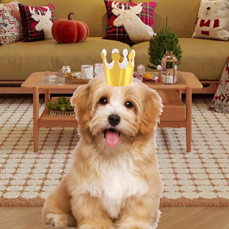 Costyleen 11 Pcs Birthday Party Hats,Party Hats Set Includes 9 Adorable Mini Cone Hats with Pom Poms and 2 Colorful Paper Crowns for Pet Birthday Party Decor - Image 2