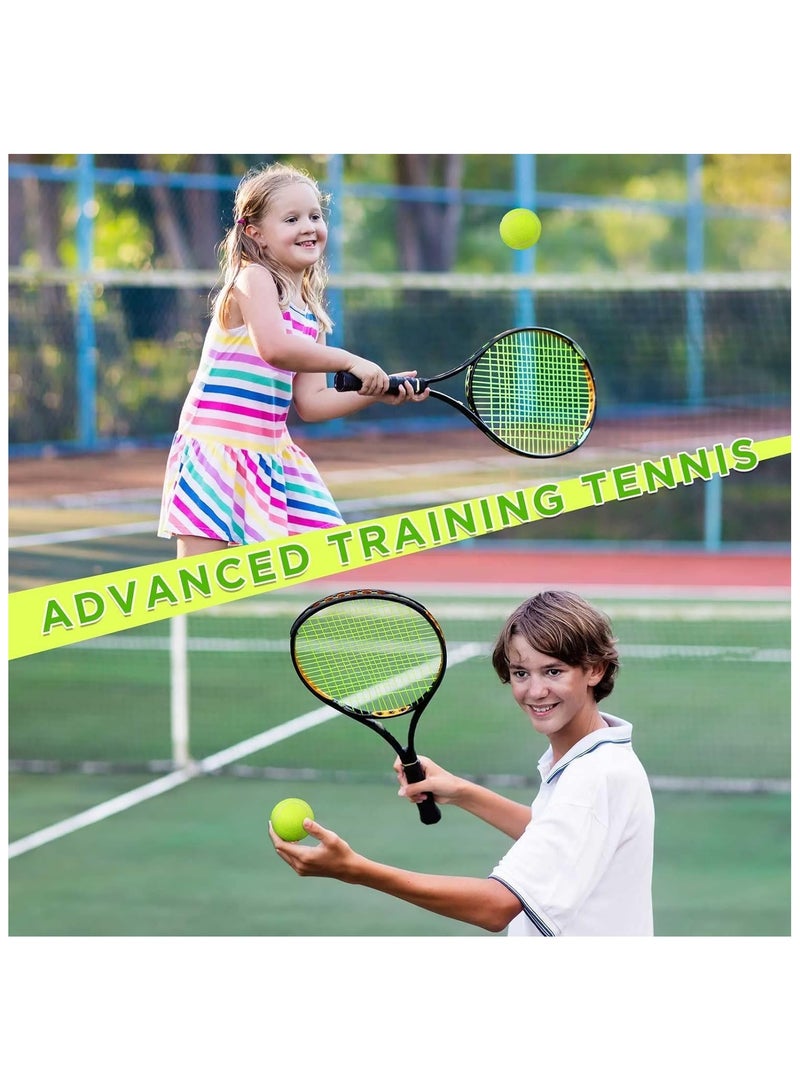 10Pcs Advanced Pressure Training Tennis Balls With Mesh Bag for Transport - Practice Balls for Dogs, Beginner Exercise, High Elastic and Sturdy - Image 4