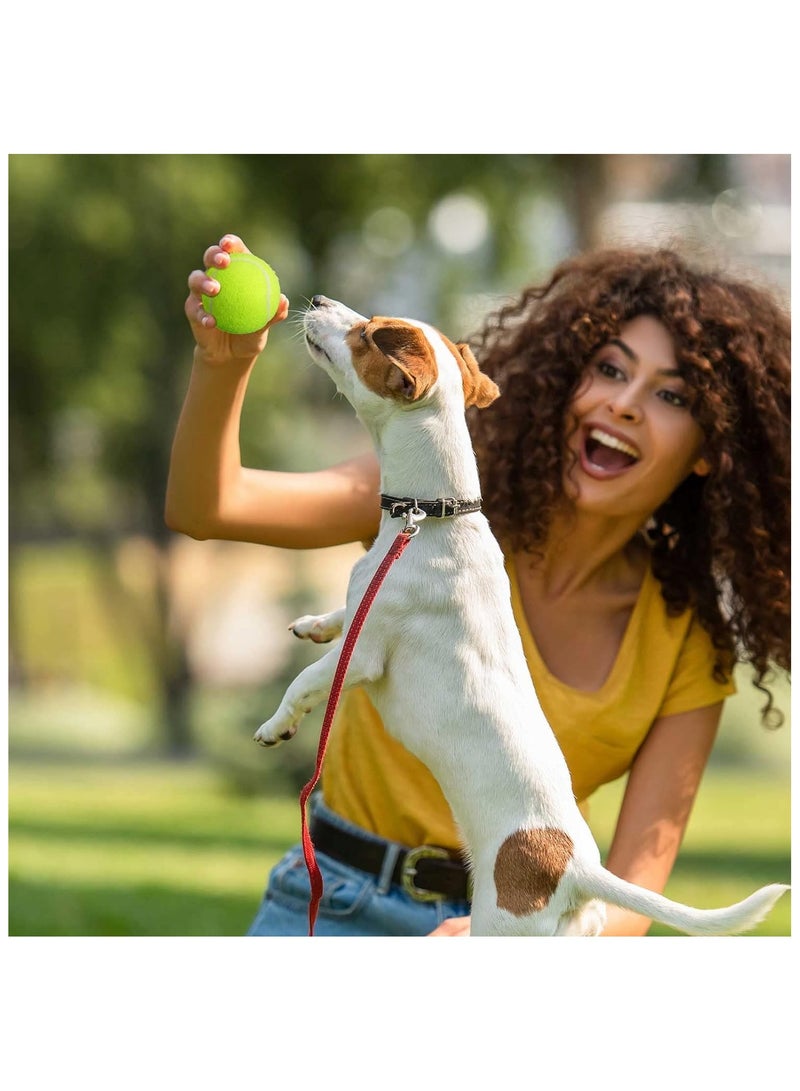 10Pcs Advanced Pressure Training Tennis Balls With Mesh Bag for Transport - Practice Balls for Dogs, Beginner Exercise, High Elastic and Sturdy - Image 2