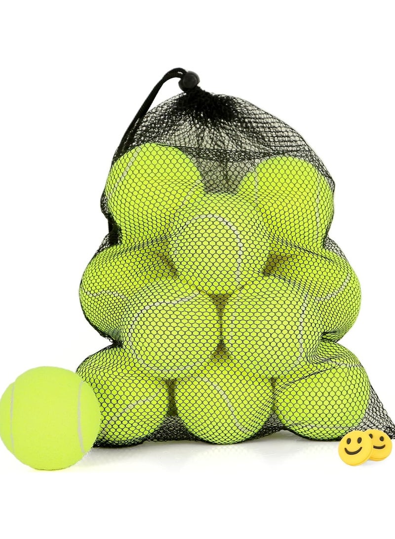 10Pcs Advanced Pressure Training Tennis Balls With Mesh Bag for Transport - Practice Balls for Dogs, Beginner Exercise, High Elastic and Sturdy - Image 1