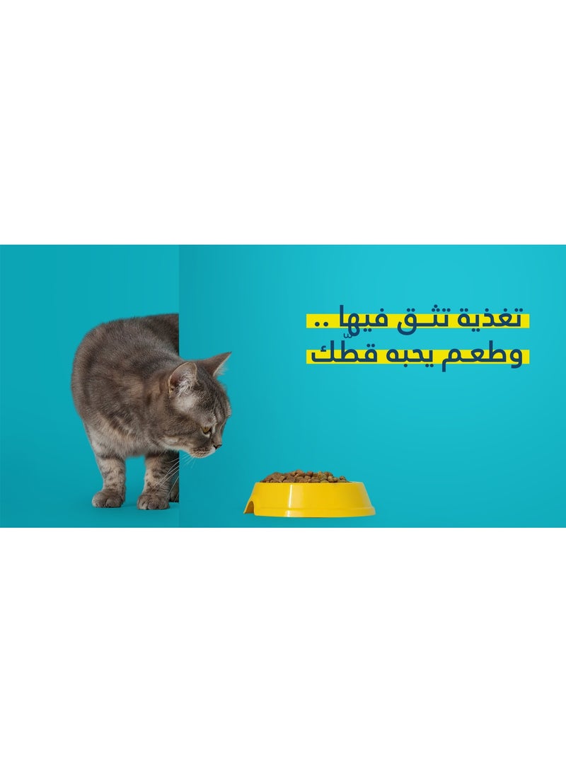 Purevet Dry Food for Adult Cats, Rich in Chicken Protein & Potatoes, 300 g - Image 5