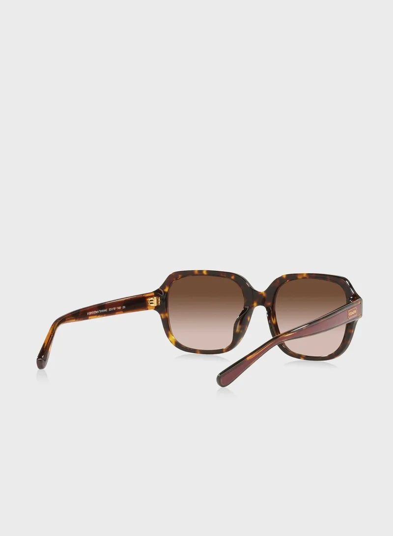 COACH  0Hc8335U Oversized Sunglasses for Women | Best Price UAE