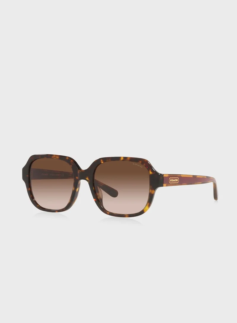 COACH 0Hc8335U Oversized Sunglasses
