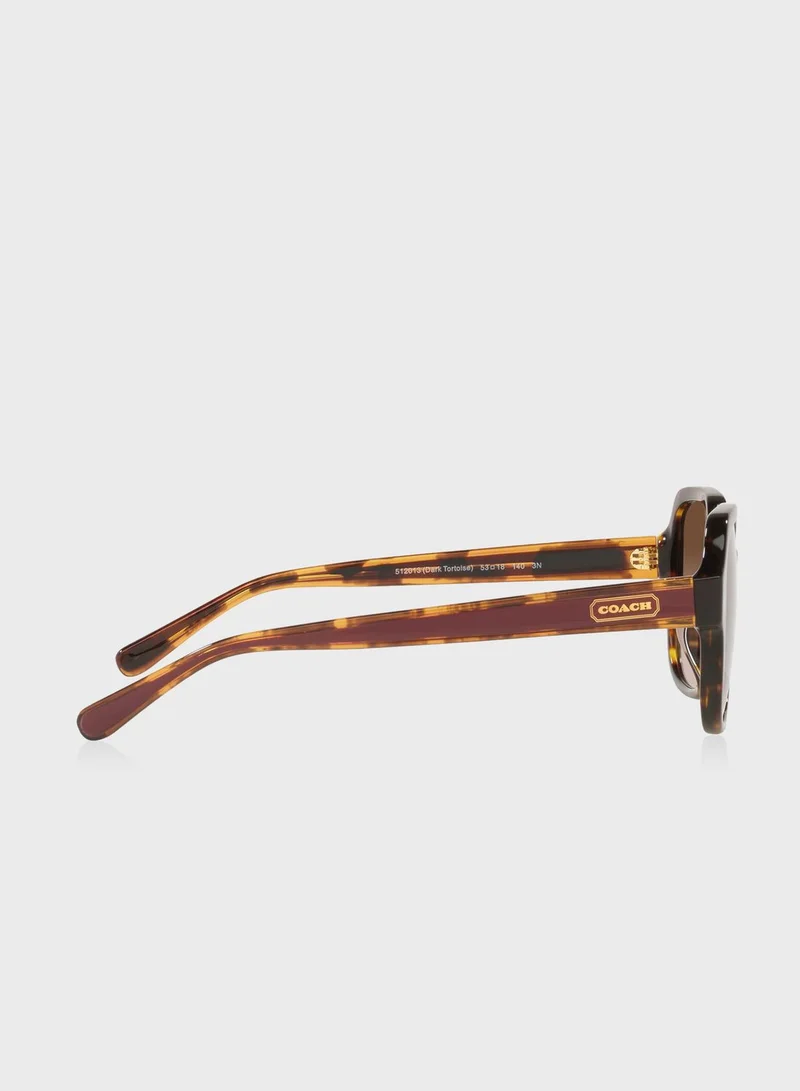 COACH  0Hc8335U Oversized Sunglasses for Women | Best Price UAE