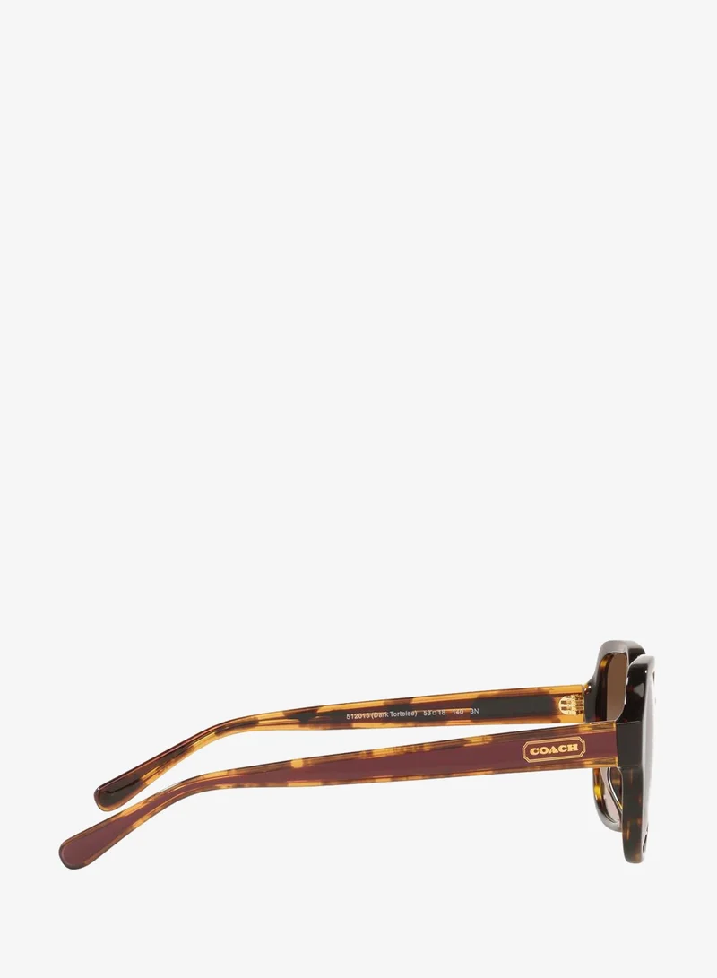 Coach  0Hc8335U Oversized Sunglasses for Women | Best Price UAE