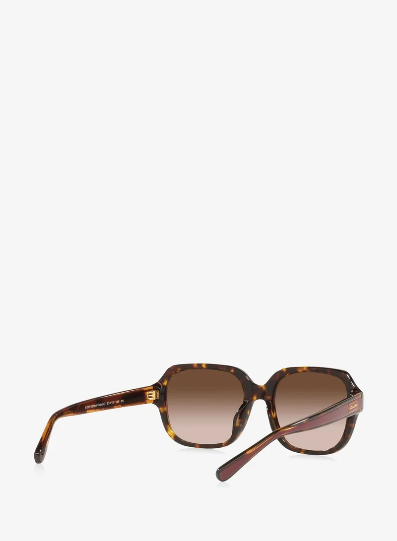 Coach  0Hc8335U Oversized Sunglasses for Women | Best Price UAE