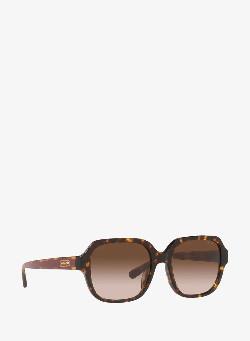 Coach  0Hc8335U Oversized Sunglasses for Women | Best Price UAE