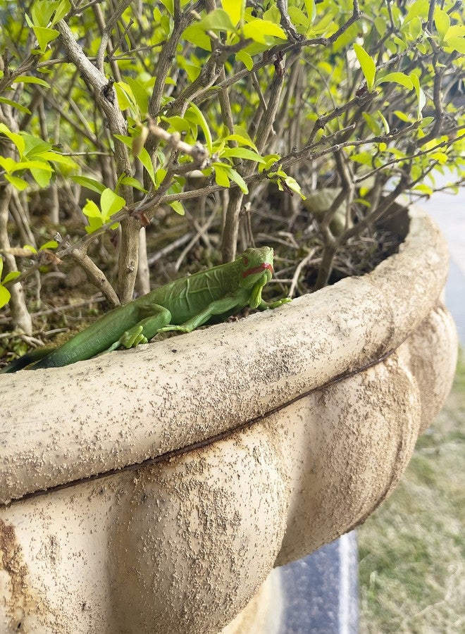 NAKIMO Iguana Animal Figurine Lizard Toy Realistic Reptile Figures for Decoration, Science Education, Prank Props - Image 4