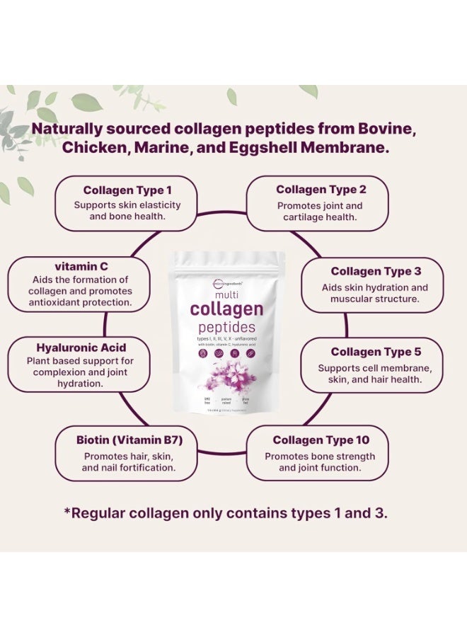Micro Ingredients Original Multi Collagen Peptides Powder, 1 Pound (16 Ounce) - Type I,II,III,V,X with Biotin 10,000mcg, Hyaluronic Acid, Vitamin C - Unflavored - Keto & Paleo Friendly, Easy Dissolve, Non-GMO, Gluten Free - Image 2