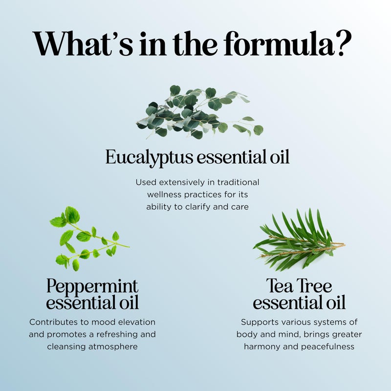 Maple Holistics زيت أساسي للتنفس للناشر - مزيج زيت أساسي منعش ومنعش مع زيت الأوكاليبتوس والنعناع وزيت شجرة الشاي والنعناع للناشرات للاستخدام في المنزل والاستحمام (2 أونصة سائلة) - Image 5