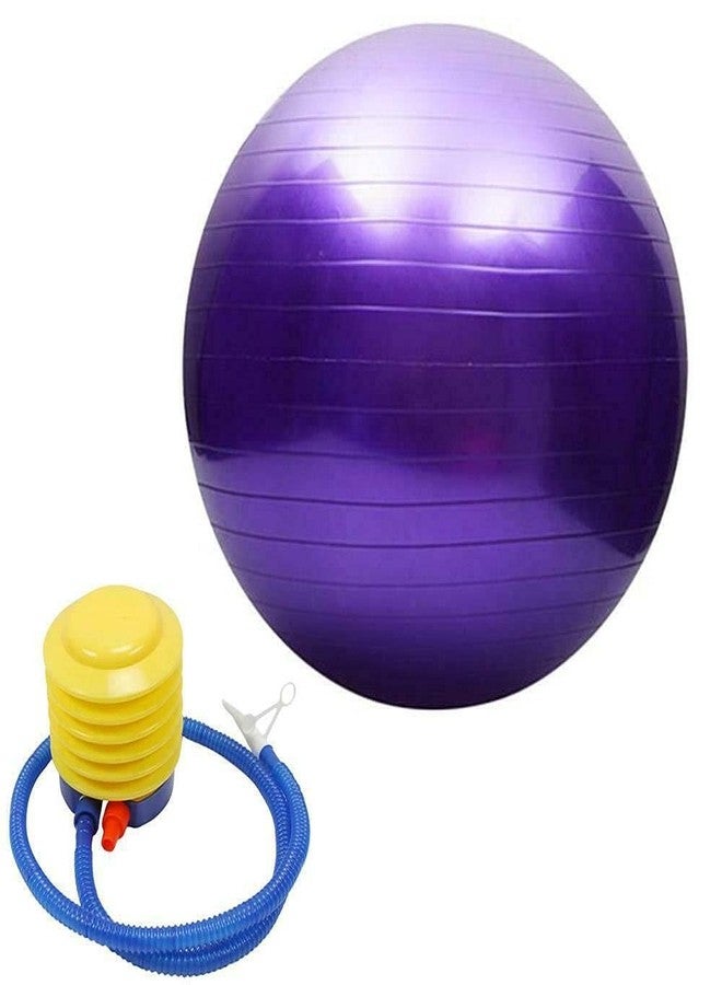 LOXBEE Exercise Gym Ball 65cm with Pump Heavy Duty Fitness Yoga Ball Extra Thick Swiss Birthing Ball Equipment for Home Exercise Balance Ball Bosu Ball - Image 5