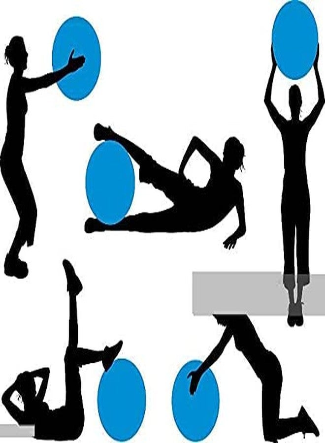 LOXBEE Exercise Gym Ball 65cm with Pump Heavy Duty Fitness Yoga Ball Extra Thick Swiss Birthing Ball Equipment for Home Exercise Balance Ball Bosu Ball - Image 4