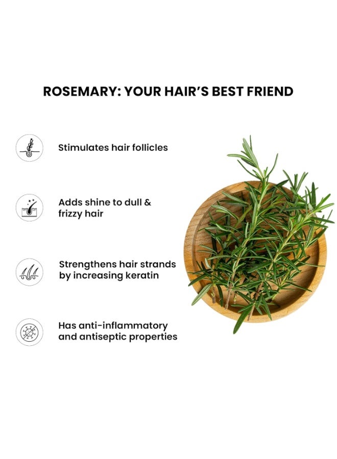 ثريفيكو ثرايف كو بخاخ ماء الروزماري للشعر | مع مستخلص إكليل الجبل الطبيعي 100% وماء الأرز وحمض الهيالورونيك | لنمو الشعر والتحكم في تساقط الشعر | يضيف اللمعان والظروف | خفيف الوزن | للرجال والنساء، 200 مل - Image 5