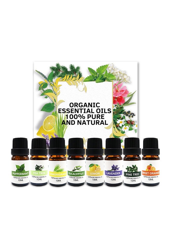 8-Piece Essential Oil Set Clear 10ml - Image 1