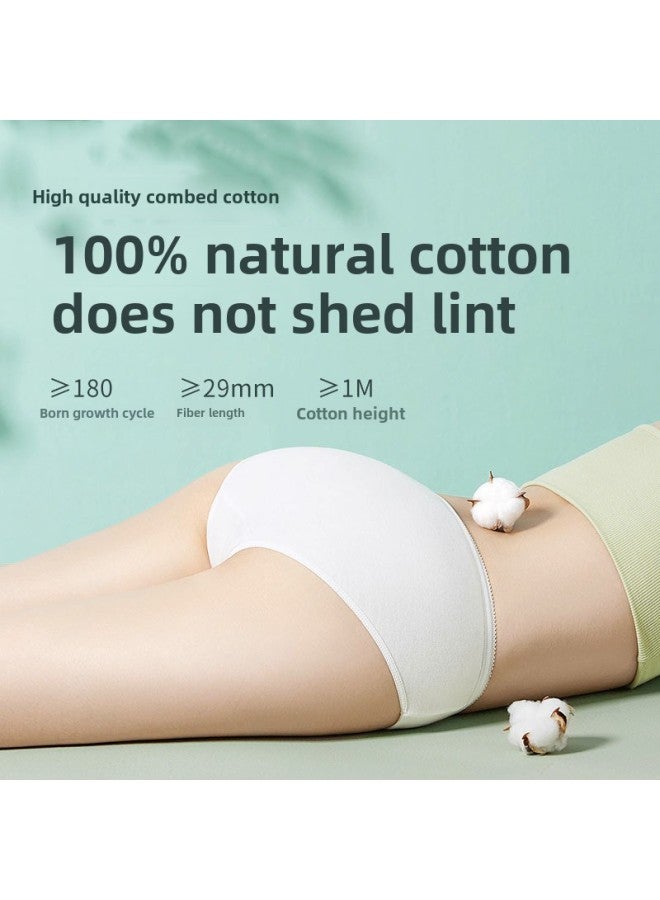 Time Disposable Underwear Men's And Women's Travel Triangle Cotton Underwear Travel Children's Wash-Free Underwear Cotton Shorts-Color:Women's White 5-pack-Size:M [below 45kg] - Image 3