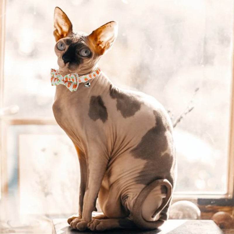 🐾 طوق قط قابل للتعديل مع ربطة عنق وجرس لتزيين أنيق - Image 5