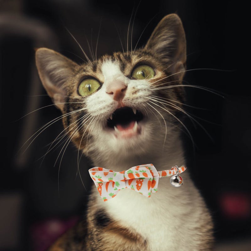 🐾 طوق قط قابل للتعديل مع ربطة عنق وجرس لتزيين أنيق - Image 2